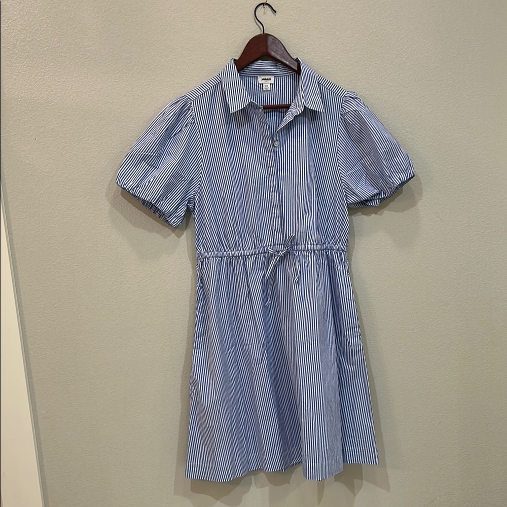 J. Crew Blue and White Striped Shirt